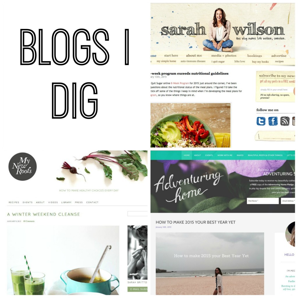 BLOGS I DIG :: featuring the blog that made me want to start my own blog, one of my favourite sites for healthy (and delicious) recipes and one of my go-to sites for some inspiration when I want to shake up my life a bit! www.oneinfinitelife.com/blogs-i-dig-2/