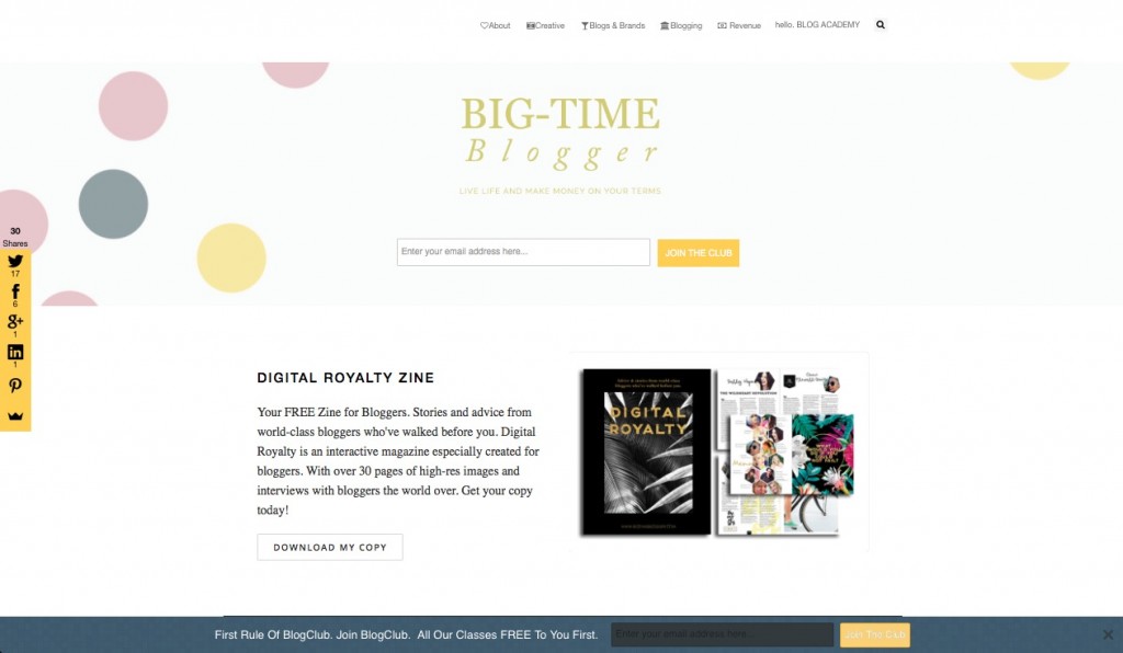 Big-Time Blogger contains information from creating a blog (and maintaining it), to using your blog as a business - think monetising, generating traffic and marketing. All in a totally transparent, honest, authentic and helpful way. http://www.bigtimeblogger.com