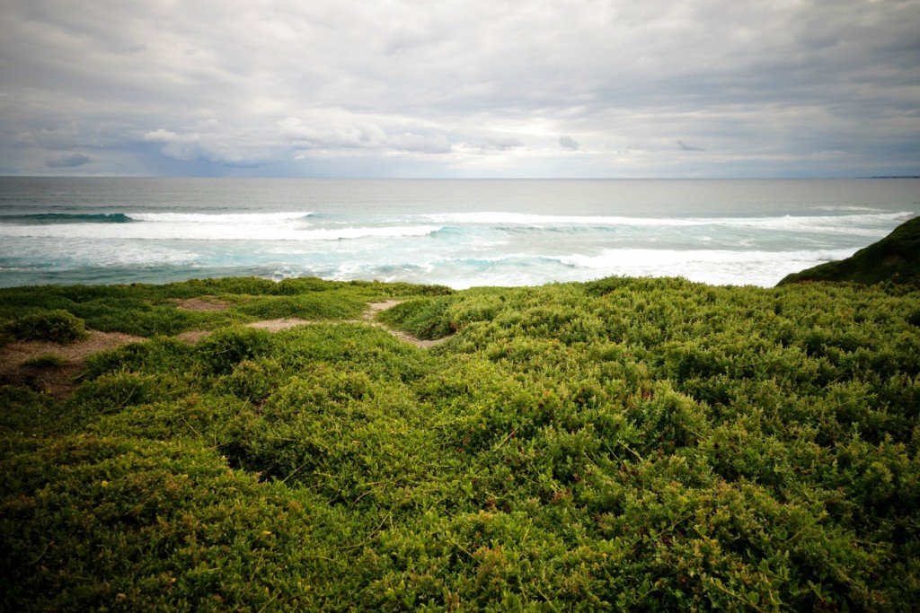 The Gratitude Diaries: An Easter Photo Montage http://oneinfinitelife.com/the-gratitude-diaries-7/