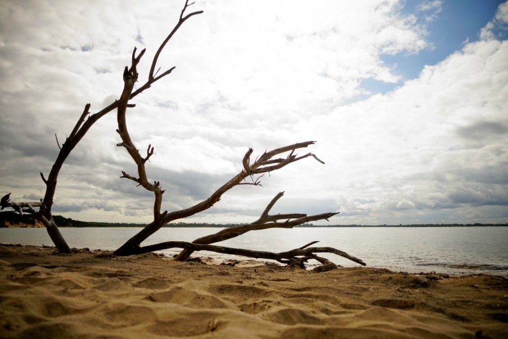 The Gratitude Diaries: An Easter Photo Montage http://oneinfinitelife.com/the-gratitude-diaries-7/