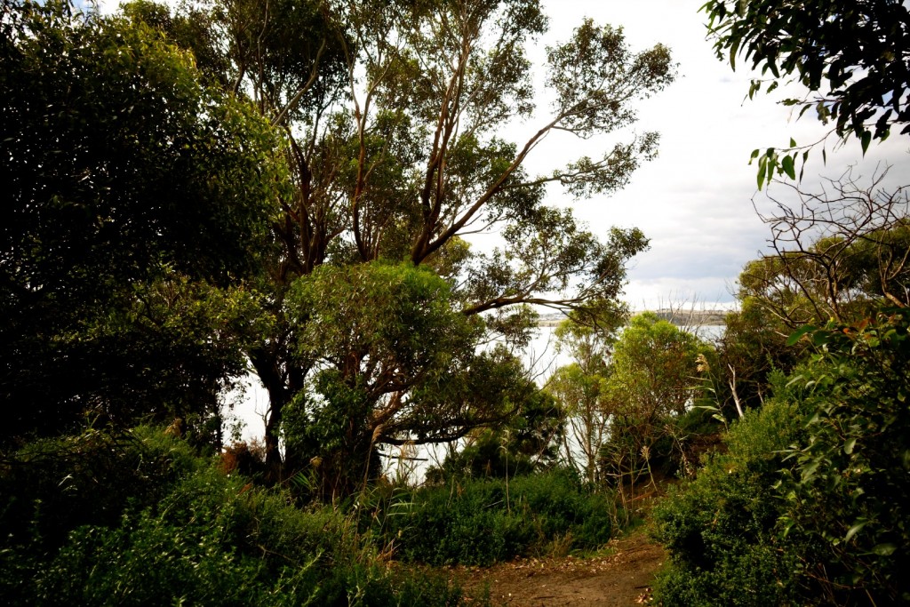 The Gratitude Diaries: An Easter Photo Montage http://oneinfinitelife.com/the-gratitude-diaries-7/