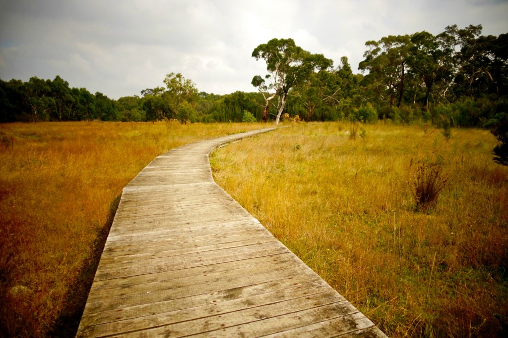 The Gratitude Diaries: An Easter Photo Montage http://oneinfinitelife.com/the-gratitude-diaries-7/