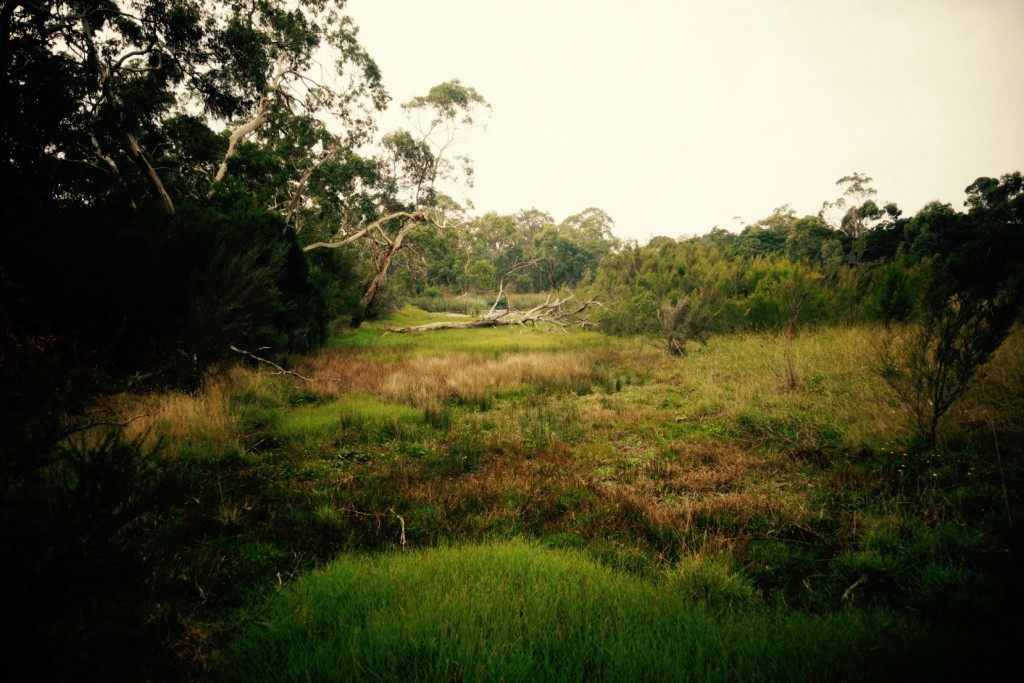 The Gratitude Diaries: An Easter Photo Montage http://oneinfinitelife.com/the-gratitude-diaries-7/