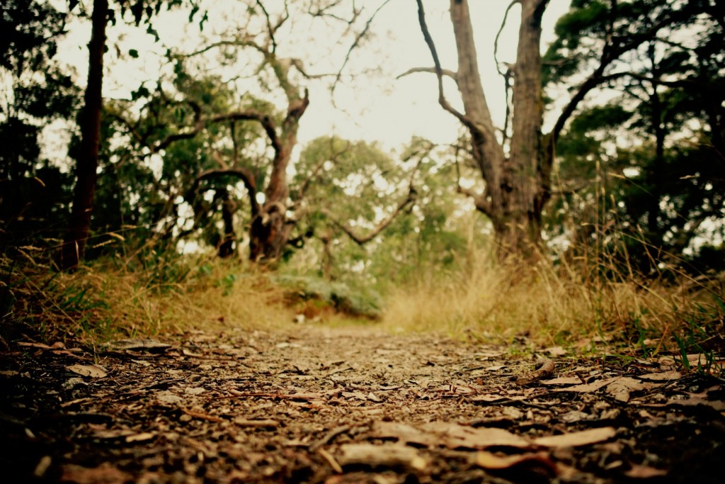 The Gratitude Diaries: An Easter Photo Montage http://oneinfinitelife.com/the-gratitude-diaries-7/