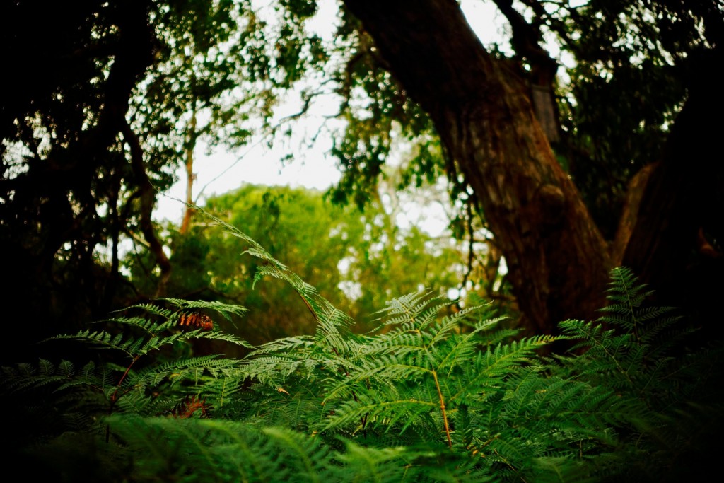 The Gratitude Diaries: An Easter Photo Montage http://oneinfinitelife.com/the-gratitude-diaries-7/