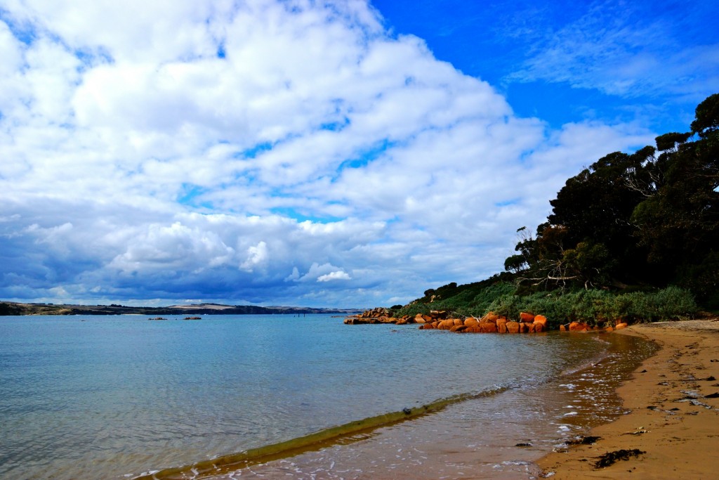 The Gratitude Diaries: An Easter Photo Montage http://oneinfinitelife.com/the-gratitude-diaries-7/