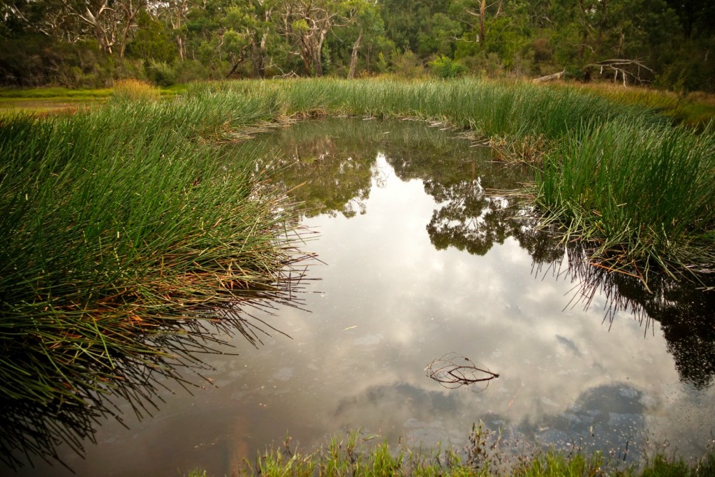 The Gratitude Diaries: An Easter Photo Montage http://oneinfinitelife.com/the-gratitude-diaries-7/