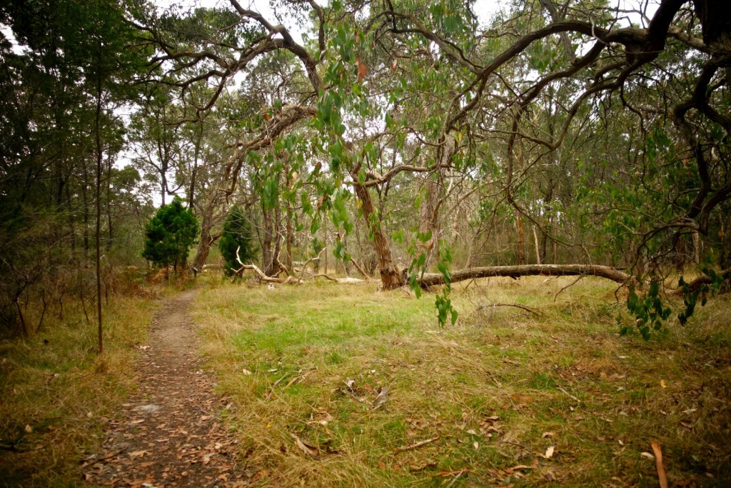 The Gratitude Diaries: An Easter Photo Montage http://oneinfinitelife.com/the-gratitude-diaries-7/