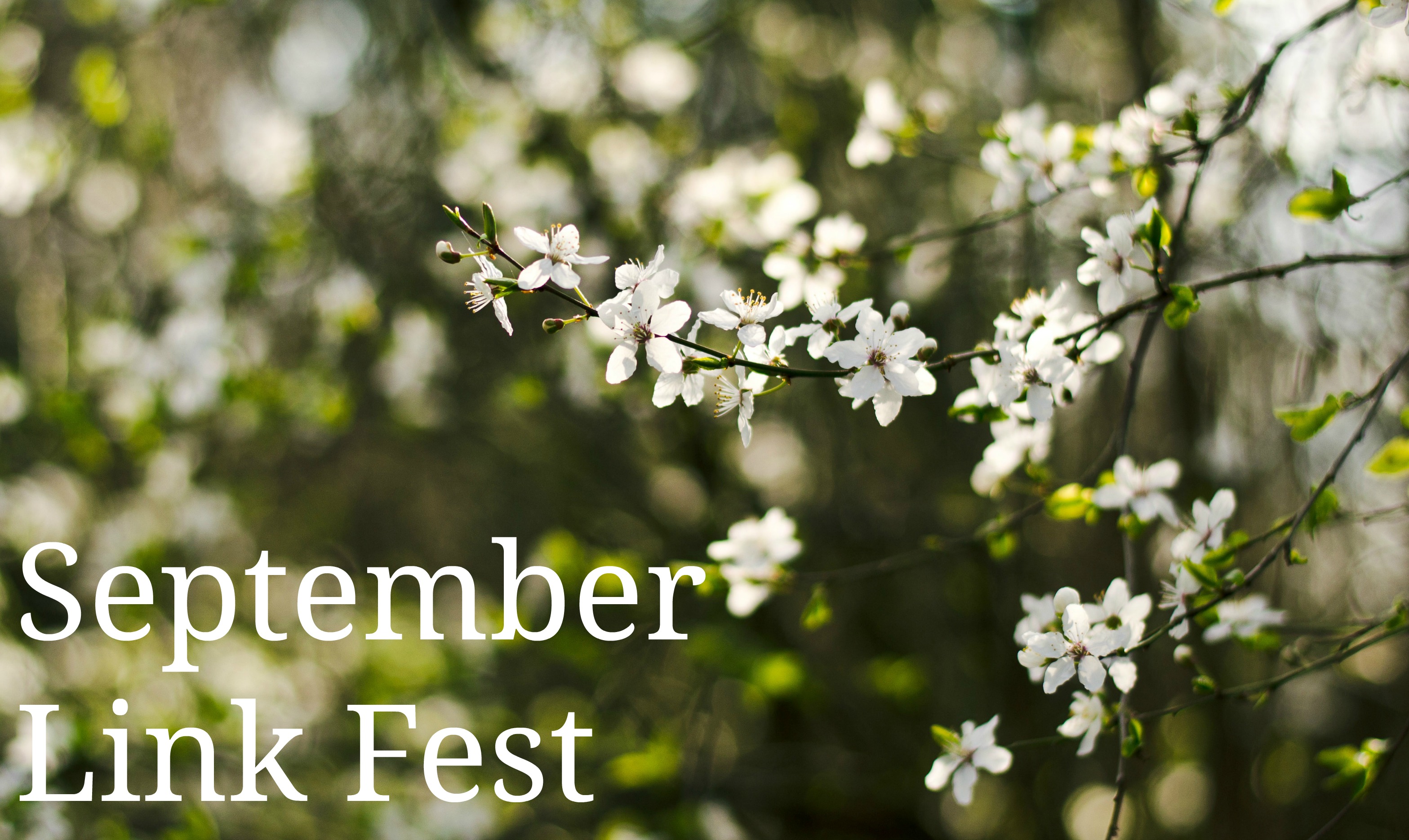 A collection of my favourite things I came across on the Internet during the month, including the secret to happiness, abundant sacrifices, dealing with disappointment, why spontaneity makes life better, and more... http://oneinfinitelife.com/september-link-fest/