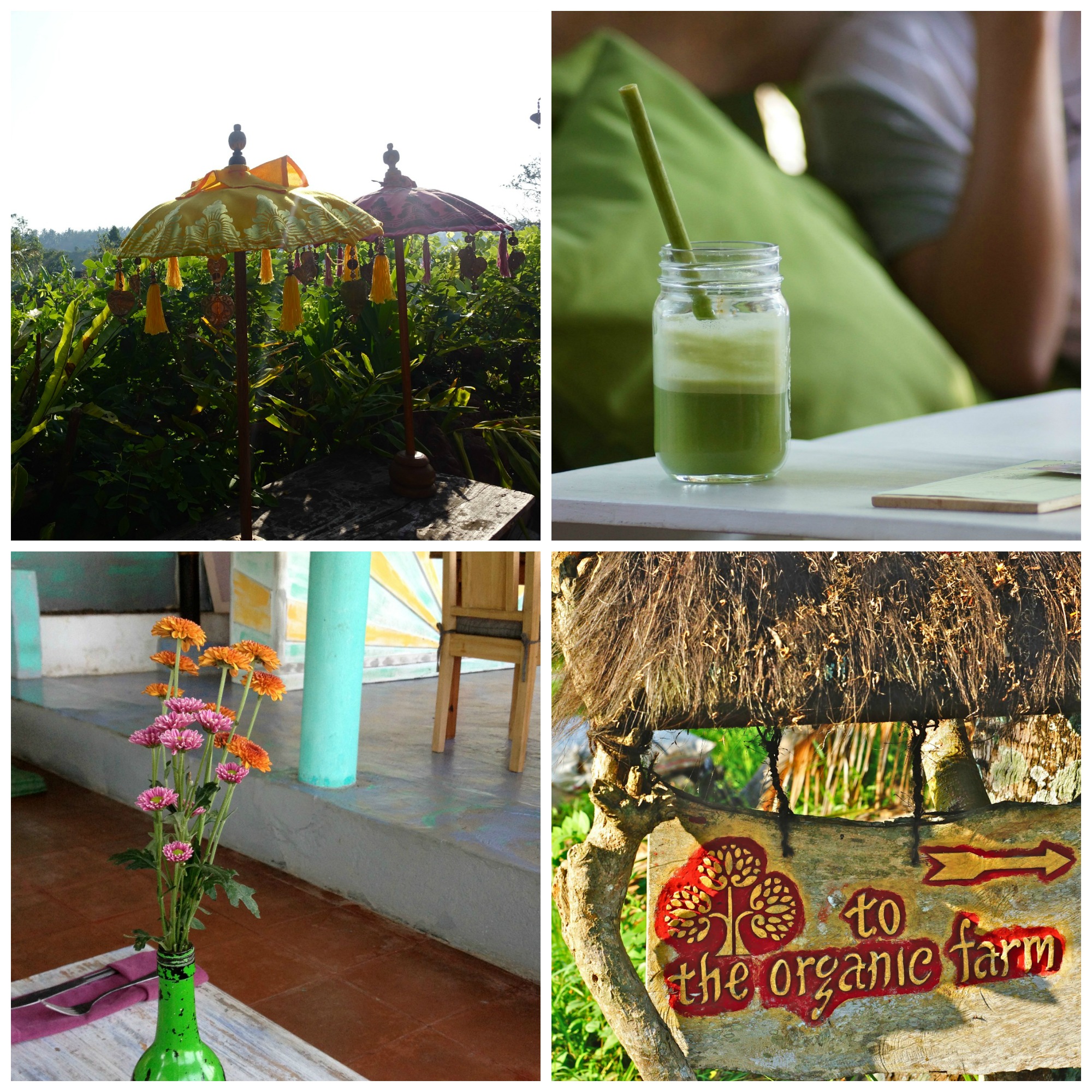 Keen to explore to Bali? Here are my best highlights, recommendations and travel tips http://oneinfinitelife.com/bali-travel-tips/